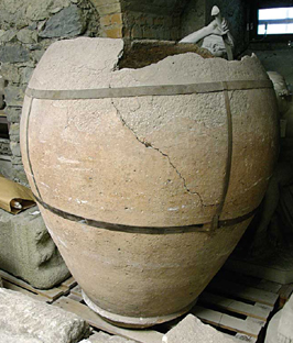 dolium